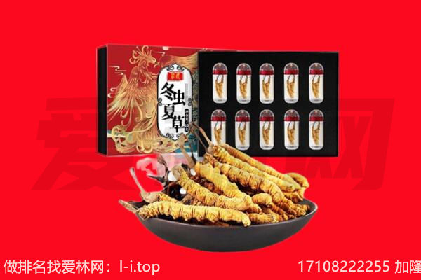 琼结县回收虫草.jpg